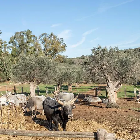Farm stay Faustina - La Valentina *